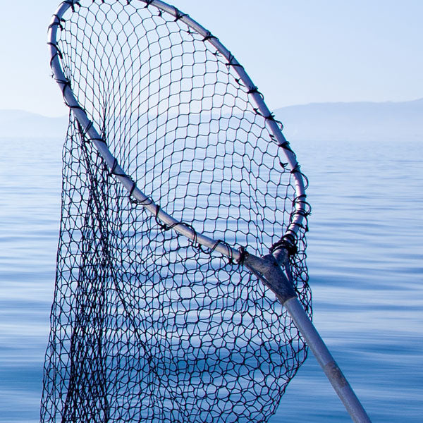 academy fly fishing rod Zebco Fly Rod Zebco Fishing Rods At Academy Sports Fishing Rod And Spinning  Reel