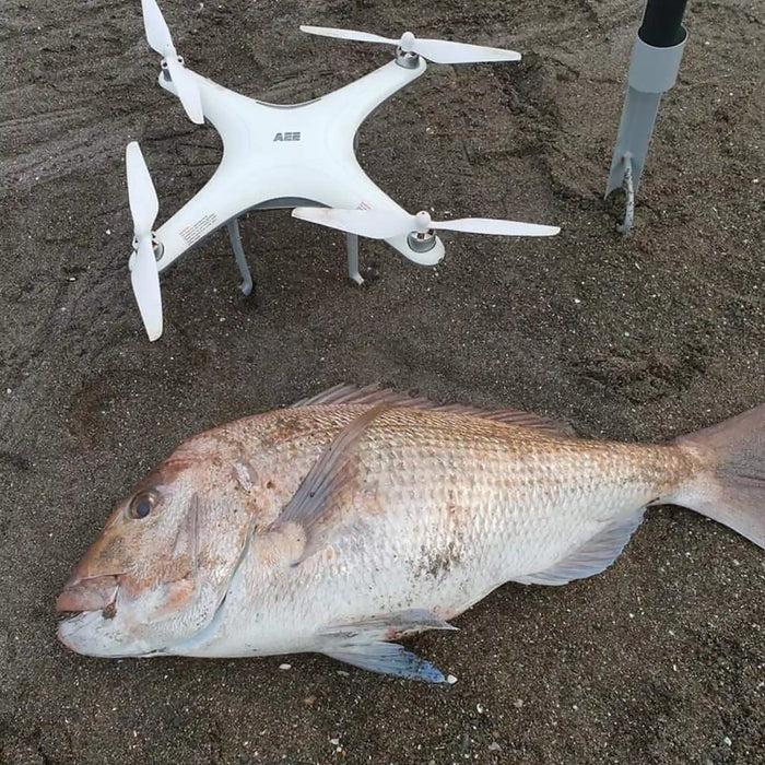 A large caught fish lies on sandy ground next to a white Condor A22S Fishing drone, with part of a pole visible in the background.