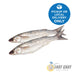 Addiction Outdoors Grey Mullet Whole Bait Frozen Twin Pack