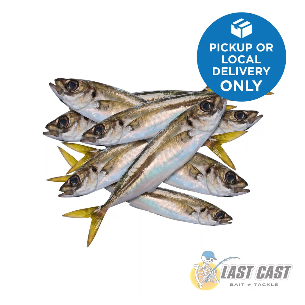 ADDICTION OUTDOORS JACK MACKEREL BAIT BAG FROZEN 5KG — Last Cast