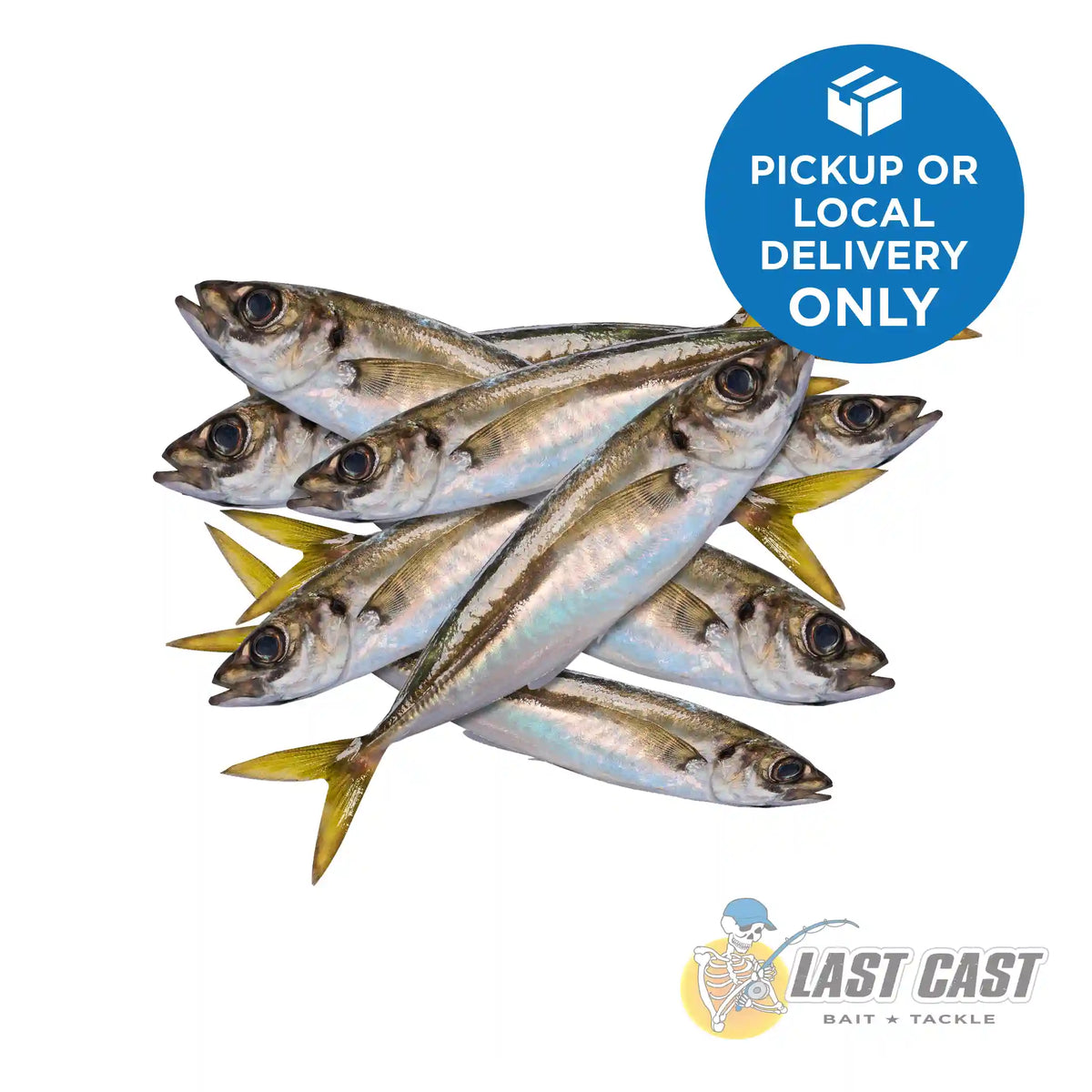 ADDICTION OUTDOORS JACK MACKEREL BAIT BAG FROZEN 5KG — Last Cast